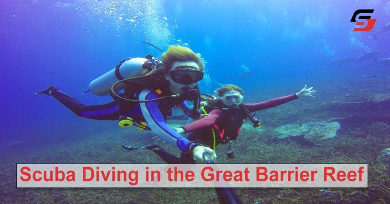 Scuba Diving in the Great Barrier Reef