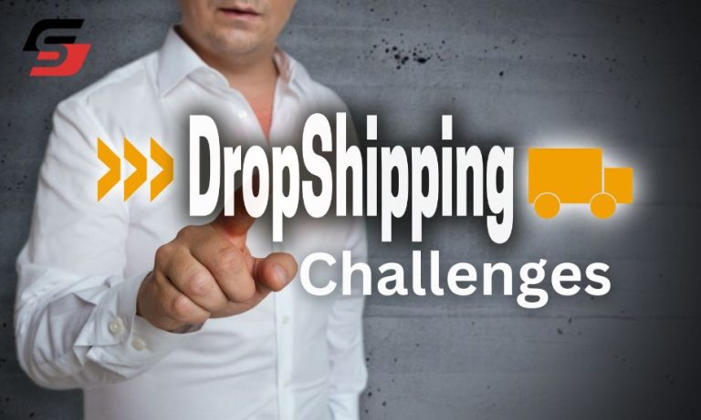 What are Some Challenges that Dropshippers Face?