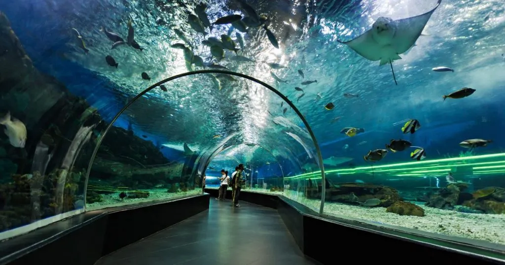 Dubai Aquarium