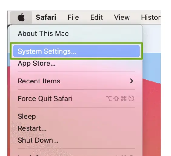 open safari settings