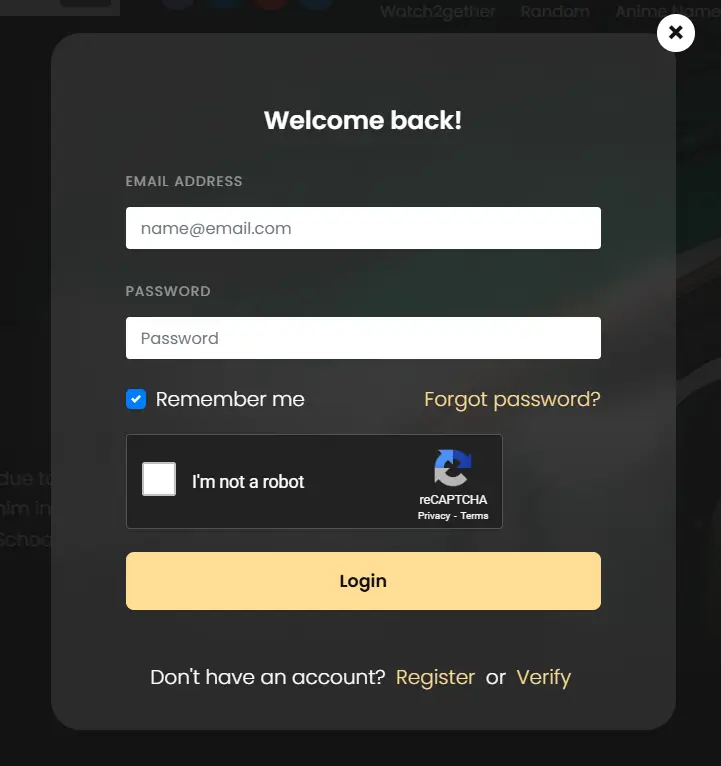 Login Interface