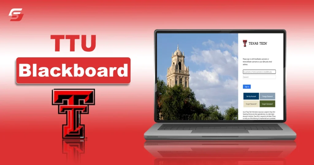 How to Use TTU Blackboard – Step-by-Step Tutorial for Students TTU Blackboard