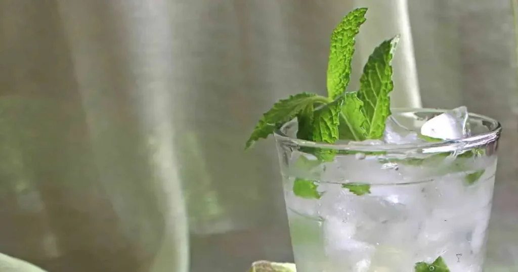 Mojitarita