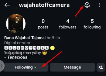 After opening the profile, click on the Following button.