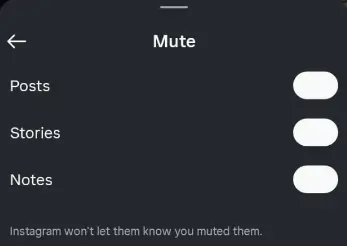 If you have muted the profile, all the toggles of Posts, Stories, and Notes will be on.