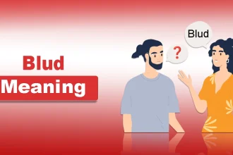 Blud Meaning