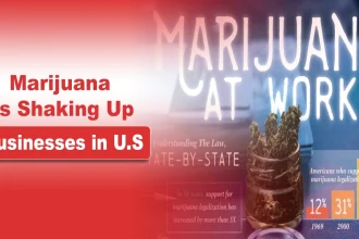 Marijuana Is Shaking Up Businesses in US