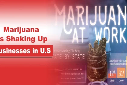 Marijuana Is Shaking Up Businesses in US