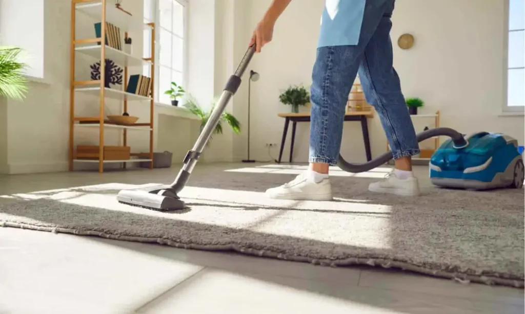 Do Clean Your House When You Feel Bored to Stay Active