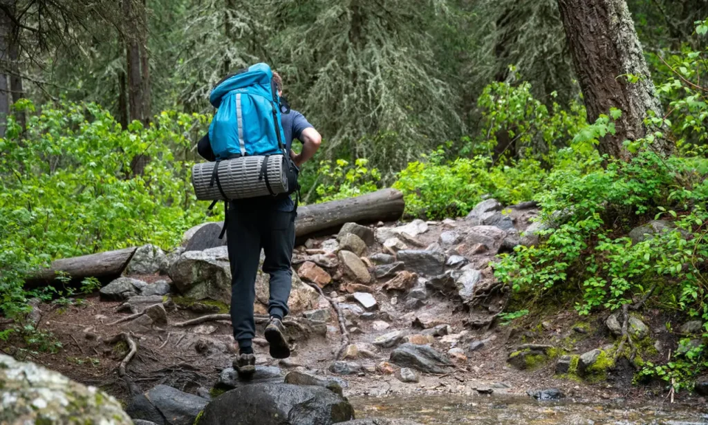 Hiking in Nature will fill you with positive energy | Image MedicalXpress