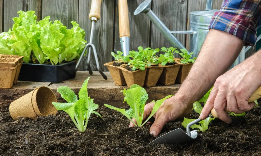 Plant a Garden for your own satisfaction to relieve your stress | Image Tom's Guide