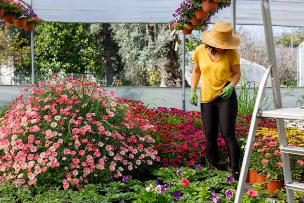 Plant a Garden