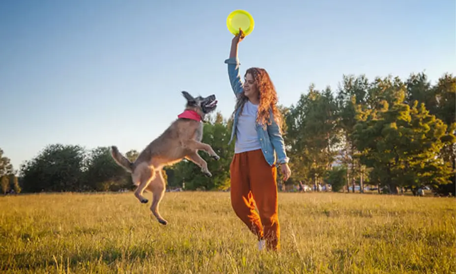 Play With Your Pet to make your day a brighter one | Image Zoetis