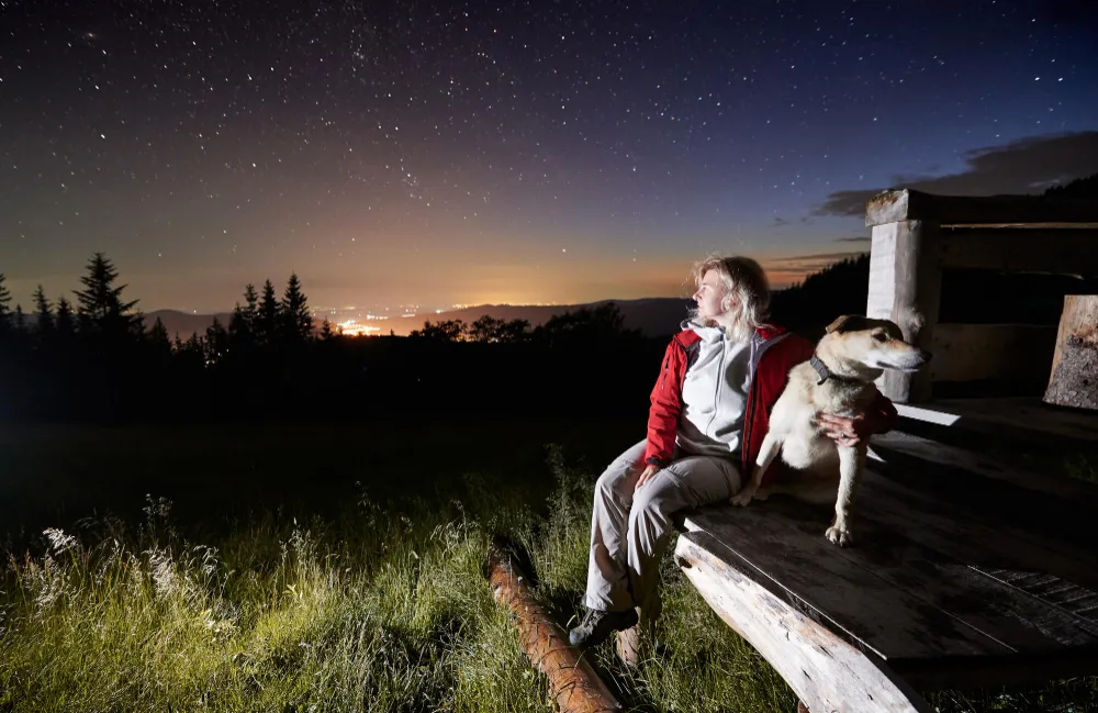 View Stars