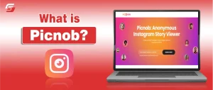 Picnob screenshot showing how users view posts, reels, and stories anonymously.