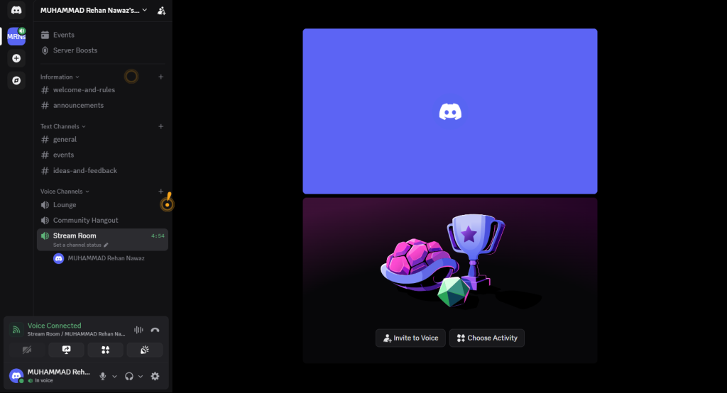 screenshot after joining a voice channel in my server where I have "Screen Share" permissions.